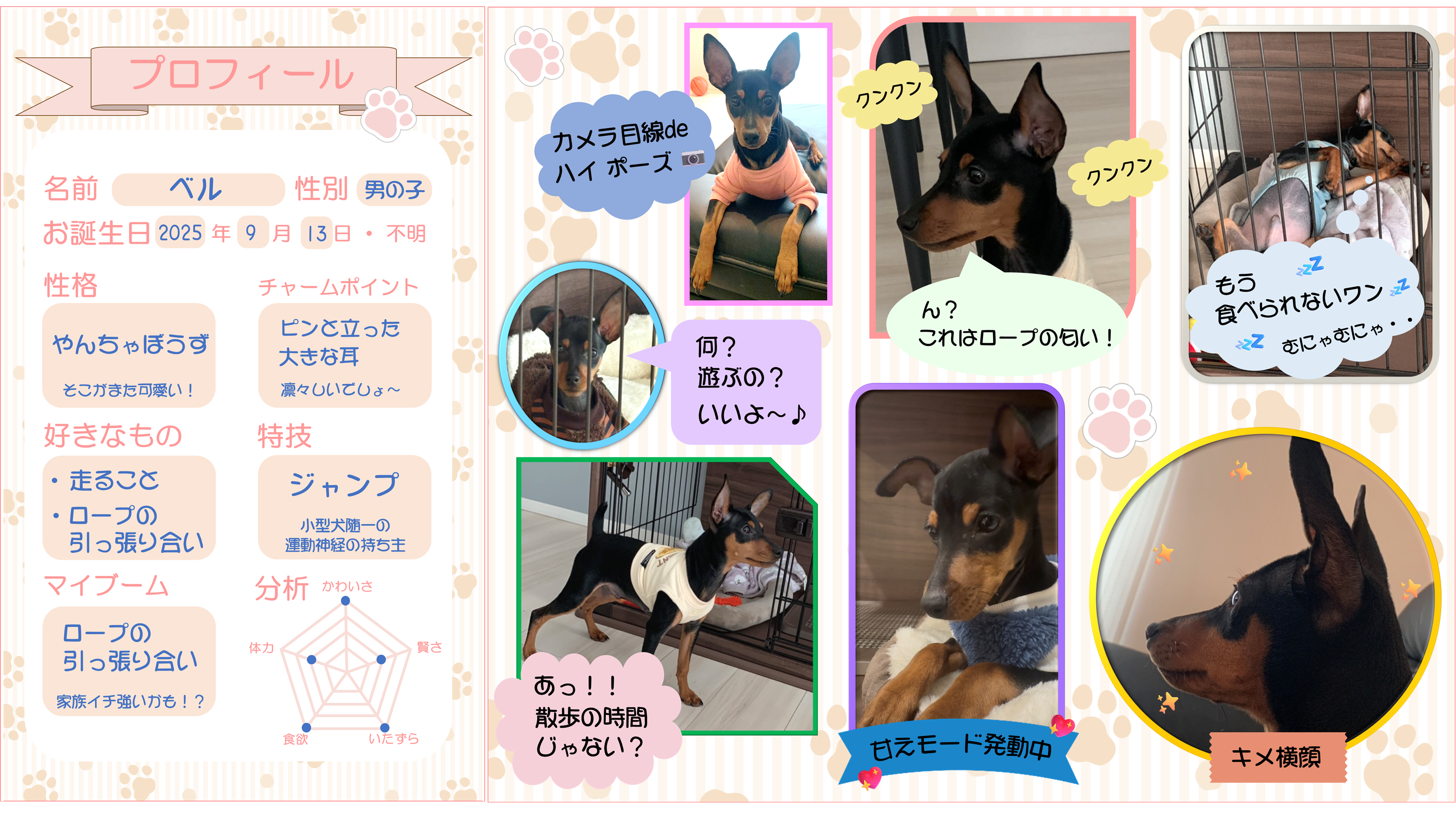 画像をクリックすると詳細を表示します