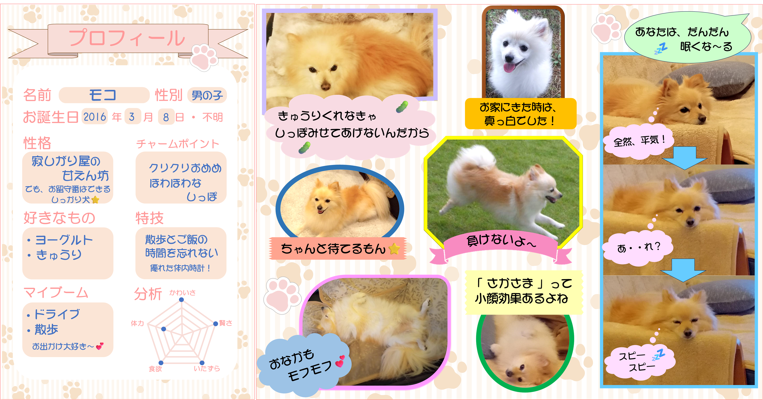 画像をクリックすると詳細を表示します