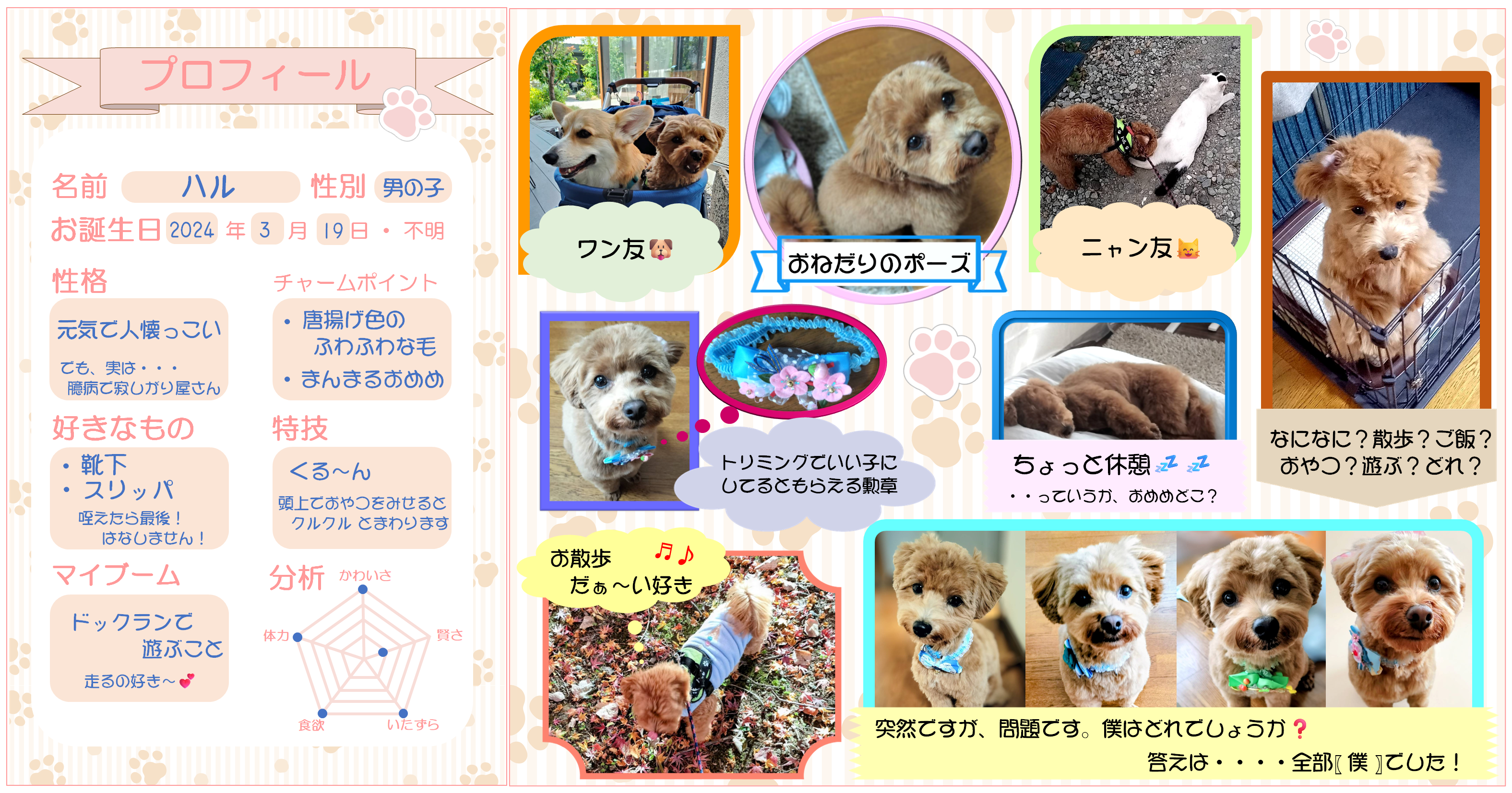 画像をクリックすると詳細を表示します
