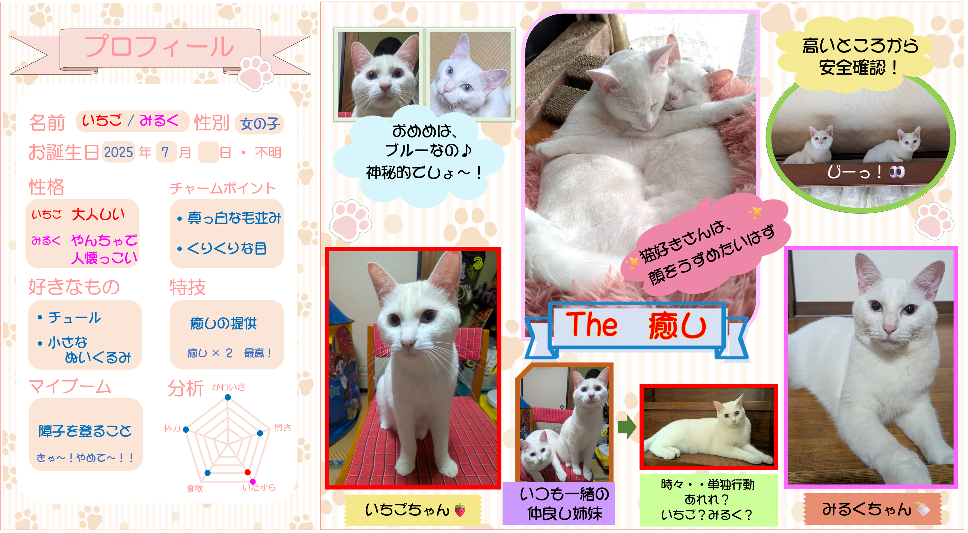 画像をクリックすると詳細を表示します