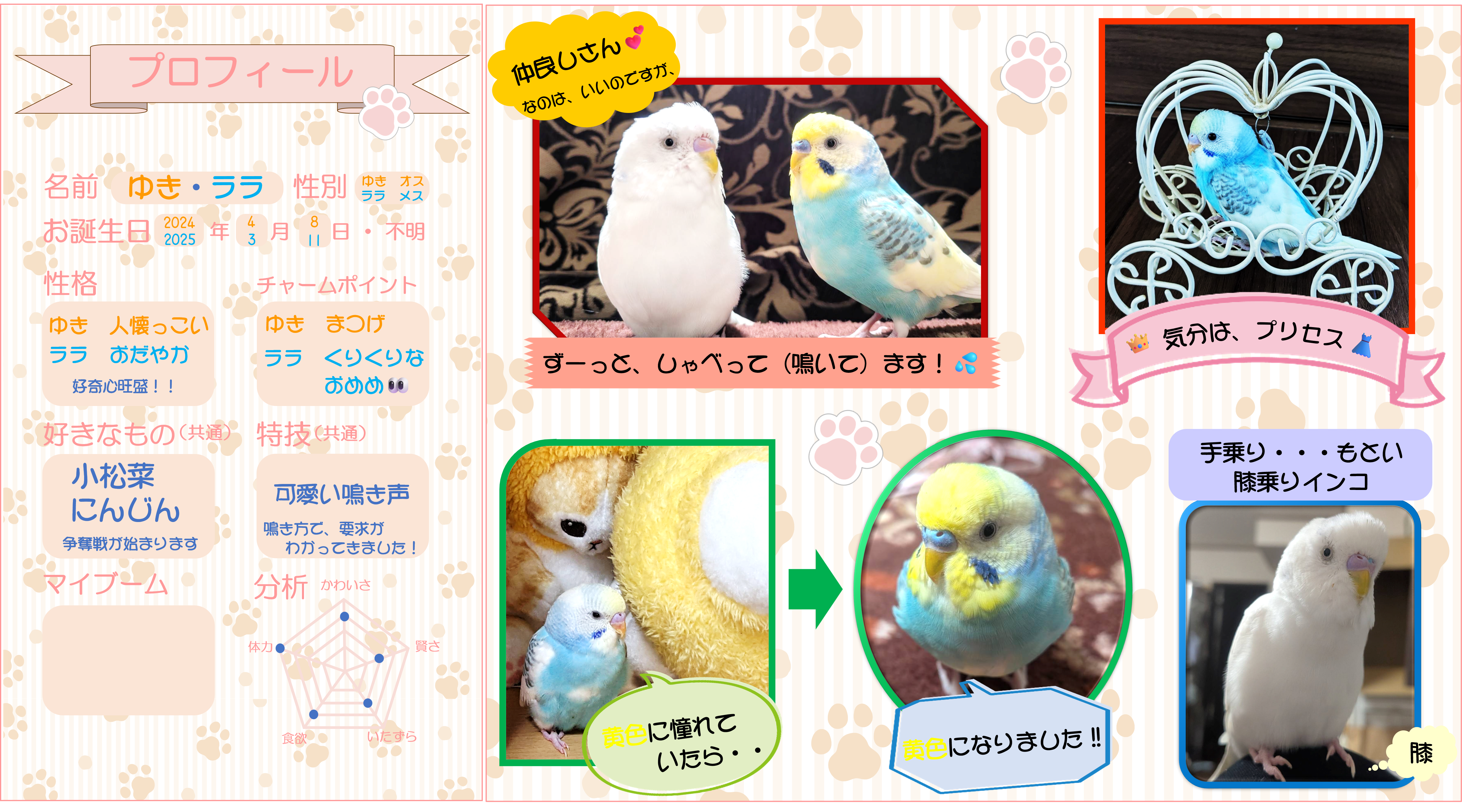画像をクリックすると詳細を表示します